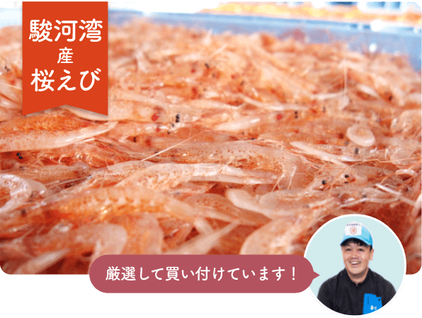 駿河湾産桜えびのみを、社長自ら買い付け