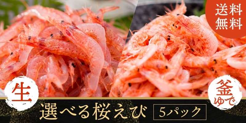 5パック