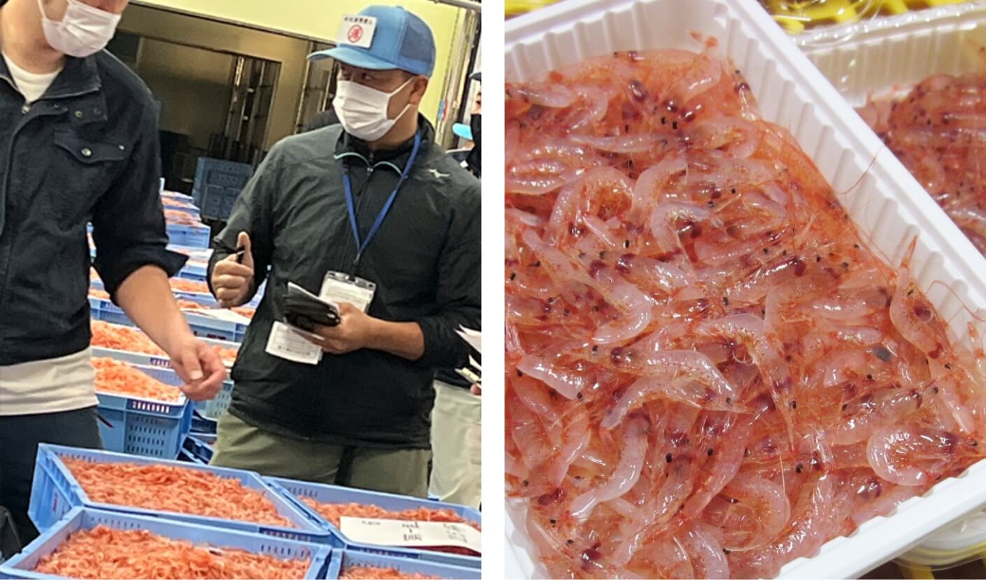 駿河湾の桜えびを、仕入れから加工まで