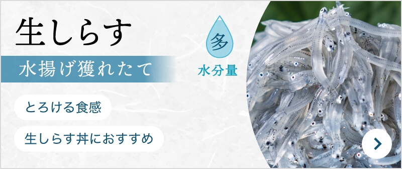 生しらす