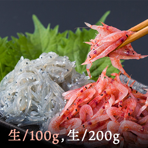 生桜えび100g×1、生しらす100g×2セット 【送料込】