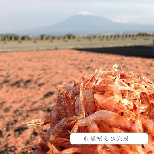 素干し