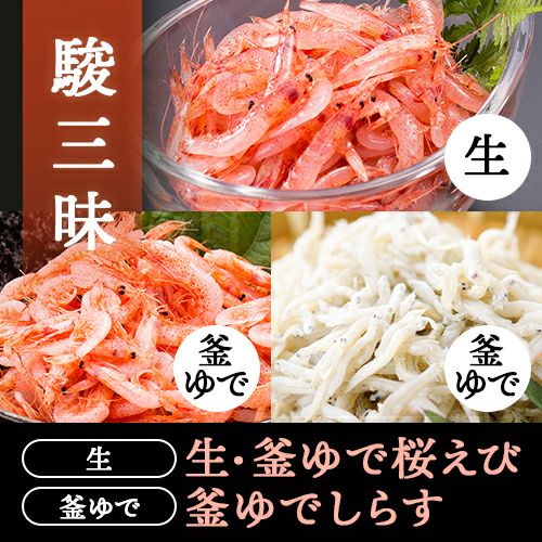 駿三昧