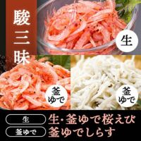 駿三昧