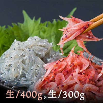 生桜えび100g 生しらす0gセット まるげん