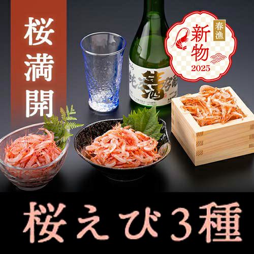 桜満開セット