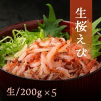 ナマサクラエビは静岡駿河湾の宝です