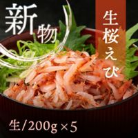 ナマサクラエビは静岡駿河湾の宝です