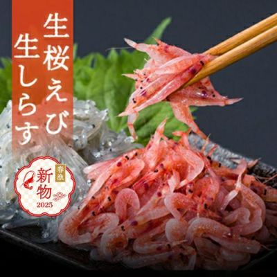 生セット