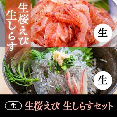 生セット