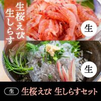 生セット