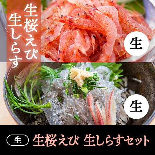 生セット