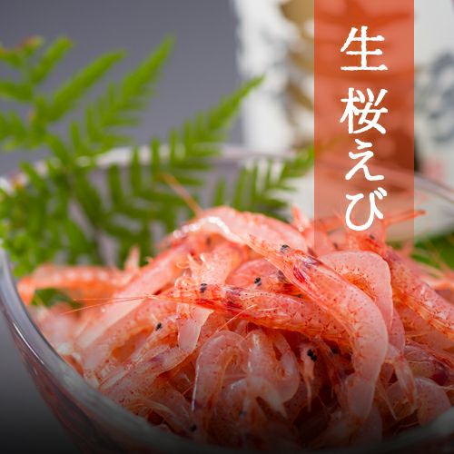 まるげんサクラエビ