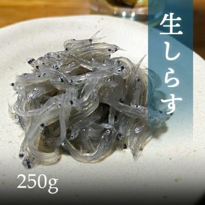 生しらす | まるげん